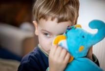 Das Foto zeigt einen kleinen Jungen, der sein Gesicht zur Hälfte hinter einem blauen Plüsch-Elefanten versteckt